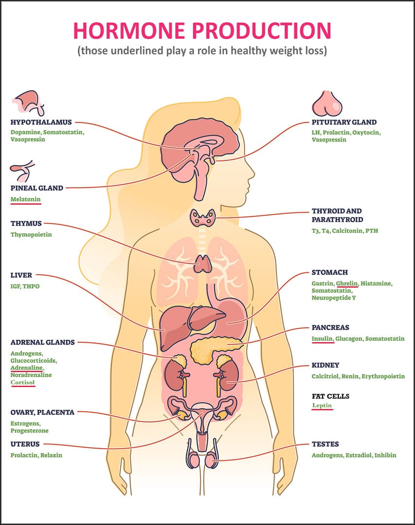The Eat Well - Be Well Learning Journey